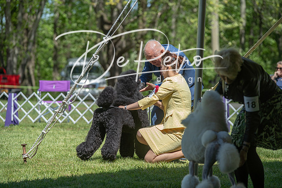 20190427-DSC09102