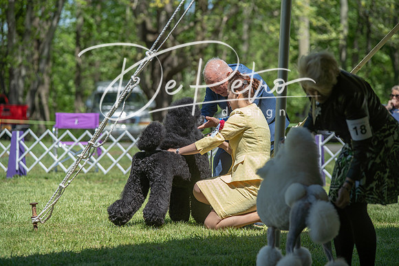 20190427-DSC09101
