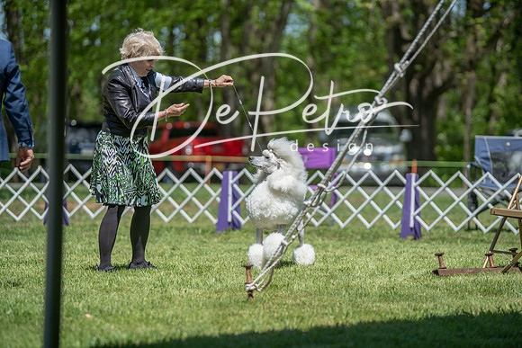 20190427-DSC09119