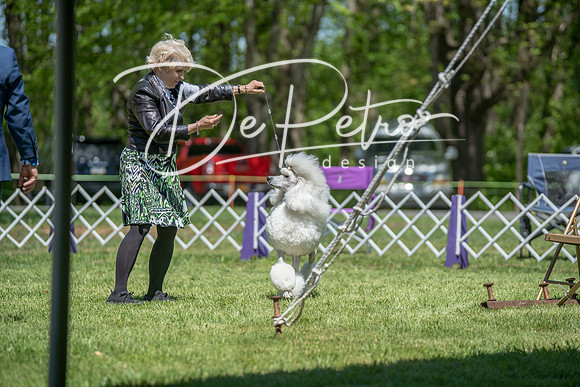 20190427-DSC09117