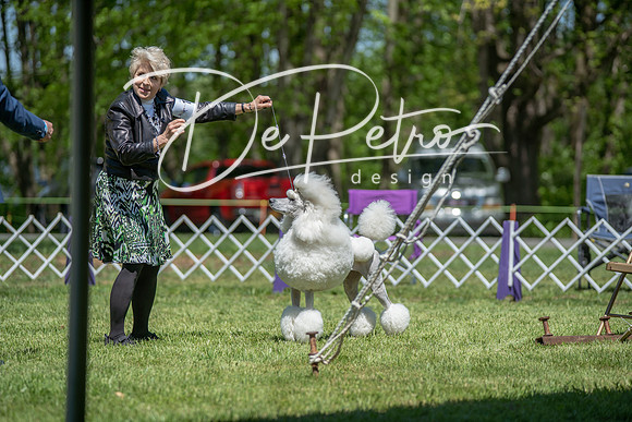 20190427-DSC09121