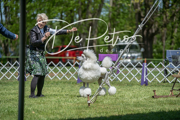 20190427-DSC09120