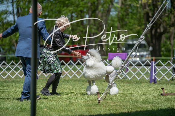 20190427-DSC09123