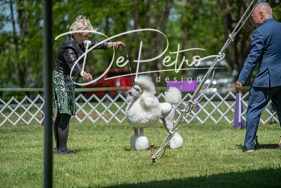 20190427-DSC09126