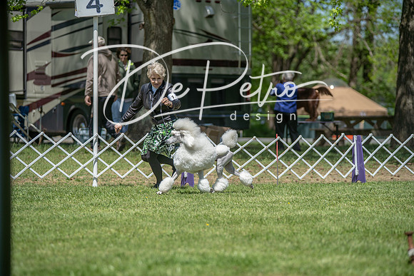 20190427-DSC09133