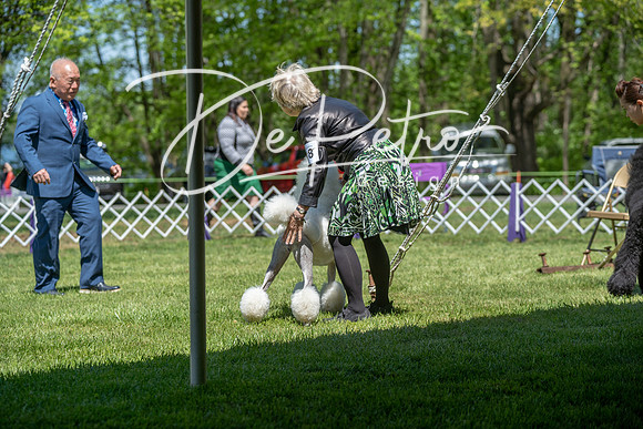 20190427-DSC09143