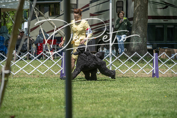 20190427-DSC09151