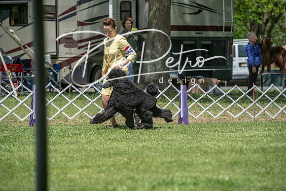 20190427-DSC09149