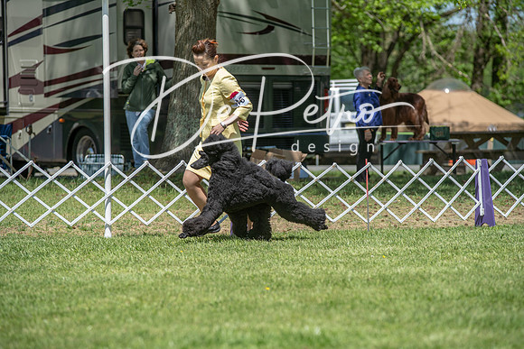 20190427-DSC09147