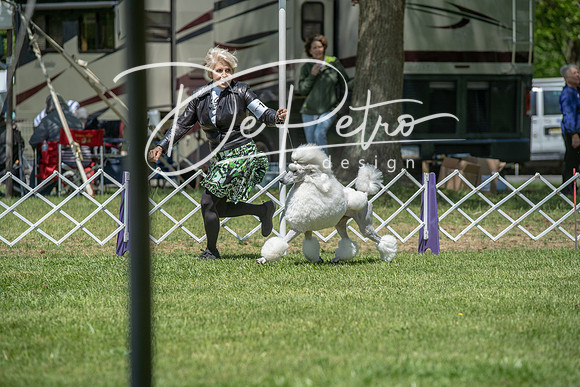 20190427-DSC09153