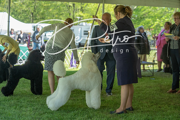 20190427-DSC09173