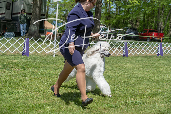 20190427-DSC09178