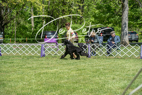 20190427-DSC09182