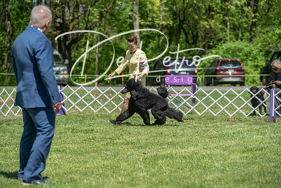 20190427-DSC09186