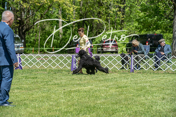 20190427-DSC09184