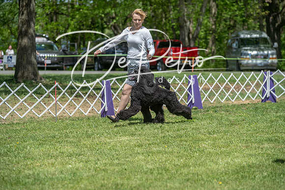 20190427-DSC09197