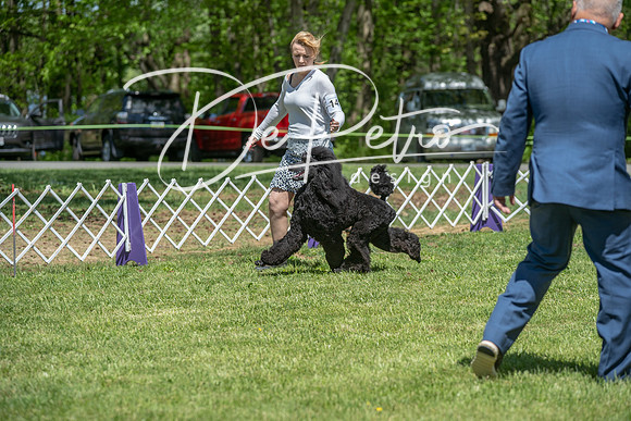 20190427-DSC09195