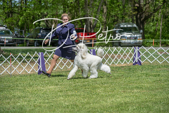 20190427-DSC09200