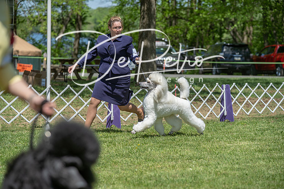 20190427-DSC09206