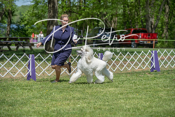20190427-DSC09204