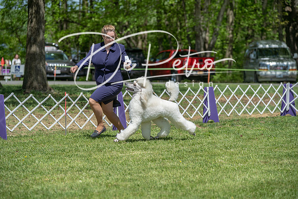 20190427-DSC09202