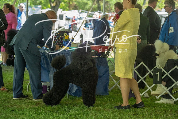 20190427-DSC09213