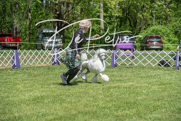 20190427-DSC09224