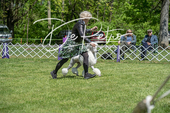 20190427-DSC09228