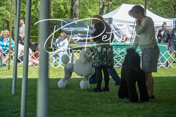 20190427-DSC09233