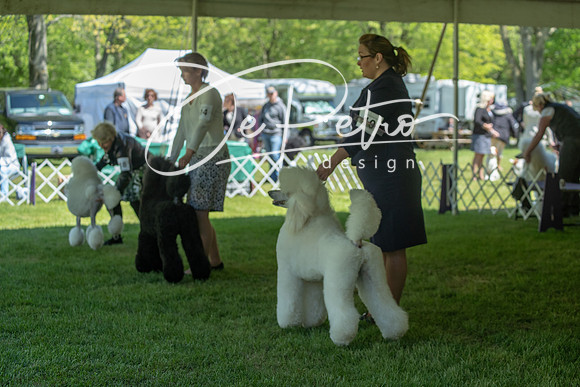 20190427-DSC09235