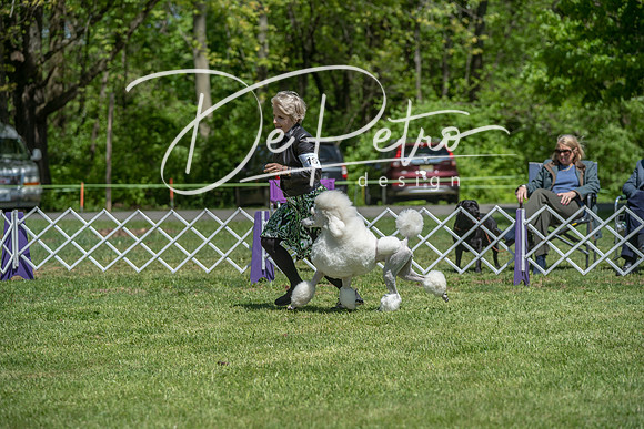20190427-DSC09242