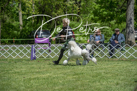 20190427-DSC09240