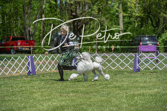 20190427-DSC09247