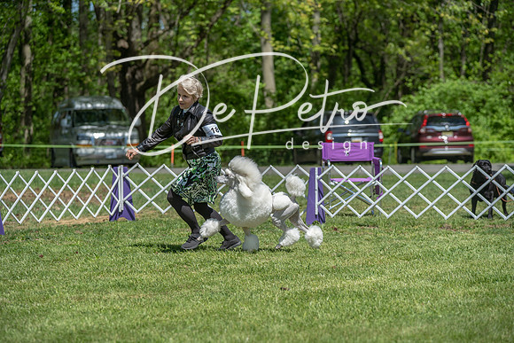 20190427-DSC09245