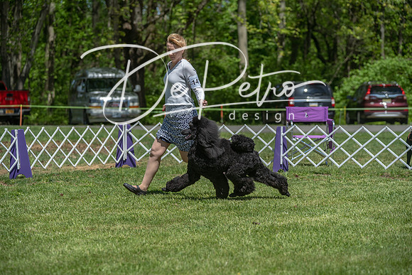 20190427-DSC09250
