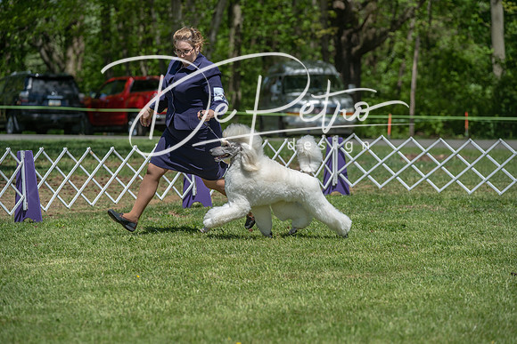 20190427-DSC09258