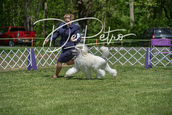 20190427-DSC09256
