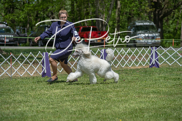 20190427-DSC09260