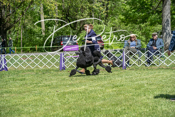 20190427-DSC09267