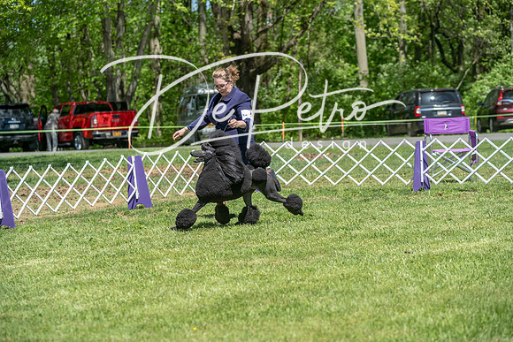 20190427-DSC09273