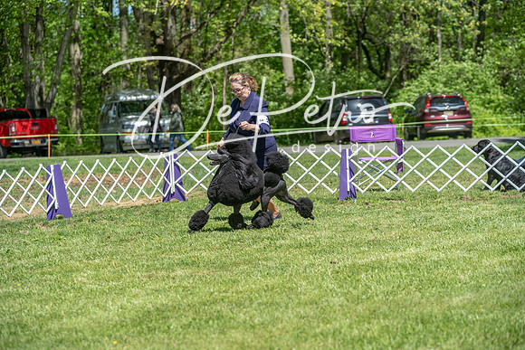 20190427-DSC09271