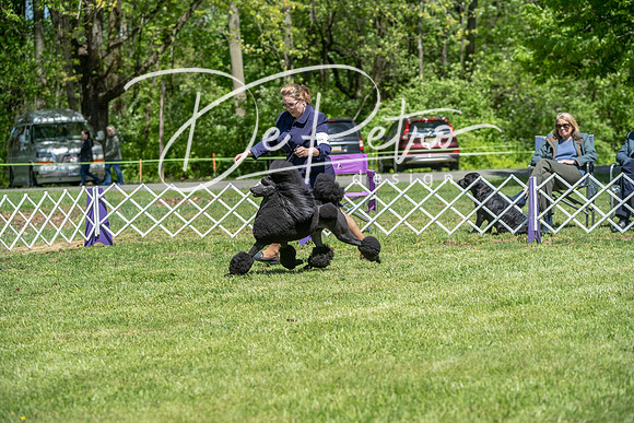 20190427-DSC09269