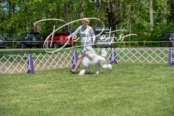 20190427-DSC09280