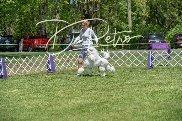 20190427-DSC09278