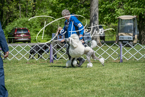 20190427-DSC09289
