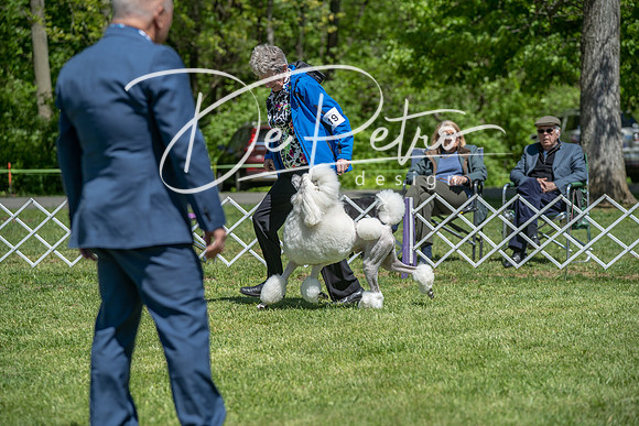 20190427-DSC09293