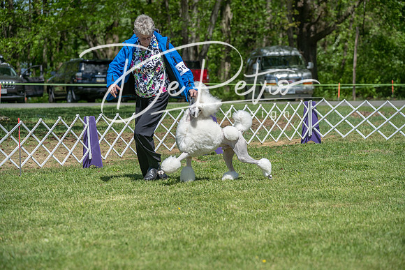 20190427-DSC09299