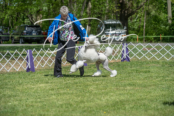 20190427-DSC09298