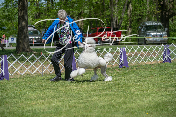 20190427-DSC09302