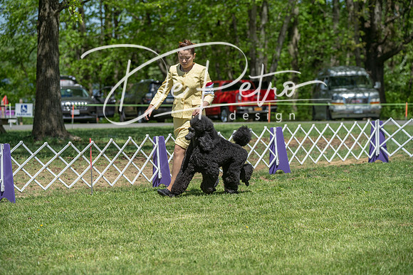 20190427-DSC09306